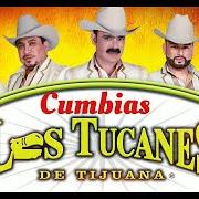 El texto musical ANDO BIEN ARREGLADO de LOS TUCANES DE TIJUANA también está presente en el álbum De fiesta con (1997)