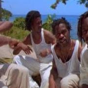 Love peace and nappiness