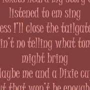 El texto musical I DON'T WANT THIS NIGHT TO END de LUKE BRYAN también está presente en el álbum Tailgates & tanlines (2011)