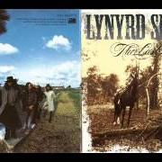 El texto musical CAN'T TAKE THAT AWAY de LYNYRD SKYNYRD también está presente en el álbum The last rebel (1993)