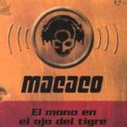 El texto musical LA RAIZ de MACACO también está presente en el álbum El mono en el ojo del tigre (1999)