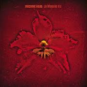 El texto musical THE BLOOD, THE SWEAT, THE TEARS de MACHINE HEAD también está presente en el álbum The burning red (1999)