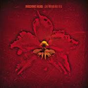 El texto musical FROM THIS DAY de MACHINE HEAD también está presente en el álbum The burning red (1999)