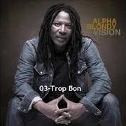 El texto musical LE CHA-CHA-CHA DU CFA de ALPHA BLONDY también está presente en el álbum Vision (2011)