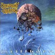 Stillborn Stillborn