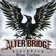 El texto musical WORDS DARKER THAN THEIR WINGS de ALTER BRIDGE también está presente en el álbum Ab iii (2010)