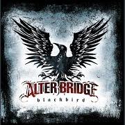 El texto musical WATCH OVER YOU de ALTER BRIDGE también está presente en el álbum Blackbird (2007)