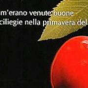 El texto musical PICCOLO GIUDICE (SICILIANA) de MARIO CASTELNUOVO también está presente en el álbum Com'erano venute buone le ciliegie nella primavera del '42 (2005)