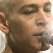 El texto musical FOREST OF FAITH de MATISYAHU también está presente en el álbum Undercurrent (2017)