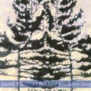 El texto musical OTHER COUNTRIES de MATT POND PA también está presente en el álbum I thought you were sleeping ep (2001)