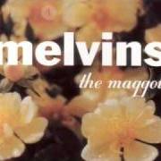 El texto musical WE ALL LOVE JUDY de THE MELVINS también está presente en el álbum The maggot (1999)