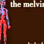 El texto musical LET ME ROLL IT de THE MELVINS también está presente en el álbum Freak puke (2012)