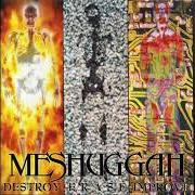 Destroy erase improve