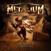 El texto musical PAY THE FEE de METALIUM también está presente en el álbum Grounded (chapter viii) (2009)