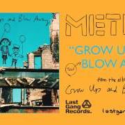 El texto musical SOFT ROCK STAR de METRIC también está presente en el álbum Grow up and blow away (2007)
