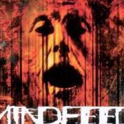 El texto musical I BLEED de MINDFEED también está presente en el álbum Ten miles high (1998)