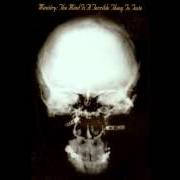 El texto musical BURNING INSIDE de MINISTRY también está presente en el álbum The mind is a terrible thing to taste (1989)