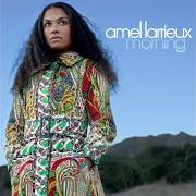 El texto musical WEARY de AMEL LARRIEUX también está presente en el álbum Morning (2006)