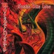El texto musical JOY OF LABOUR de MOTORHEAD también está presente en el álbum Snake bite love (1998)