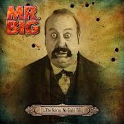 El texto musical WHAT IF WE WERE NEW? de MR. BIG también está presente en el álbum ...The stories we could tell (2014)