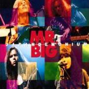 El texto musical TEMPERMENTAL de MR. BIG también está presente en el álbum Japandemonium (1994)