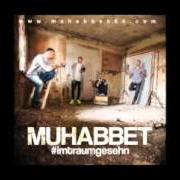 El texto musical MUHABBET de MUHABBET también está presente en el álbum Imtraumgesehn (2013)