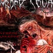 El texto musical HELLISH BLASPHEMY de MURDER SQUAD también está presente en el álbum Ravenous, murderous (2003)