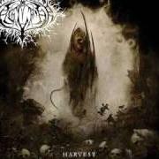 El texto musical PLUTONIUM REVERIES de NAGLFAR también está presente en el álbum Harvest (2007)