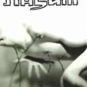 El texto musical RESISTANCE de NASUM también está presente en el álbum Human 2.0 (1999)