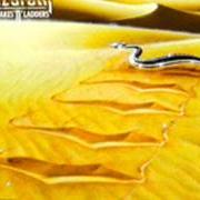 El texto musical ANIMALS de NAZARETH también está presente en el álbum Snakes 'n' ladders (1989)