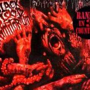 El texto musical IT LIVES IN THE WOODS de NECROPHAGIA también está presente en el álbum Black blood vomitorium (1999)