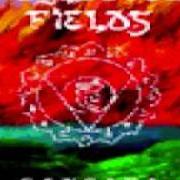 El texto musical SANSARA de NEGLECTED FIELDS también está presente en el álbum Sansara (1996)