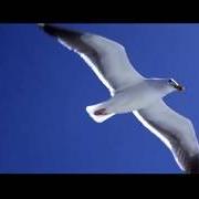 El texto musical BE (INSTRUMENTAL) de NEIL DIAMOND también está presente en el álbum Jonathan livingston seagull (1973)