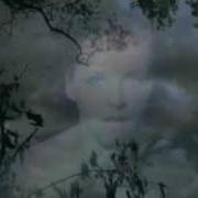 El texto musical PORCHLIGHT de NEKO CASE también está presente en el álbum Furnace room lullaby (2000)