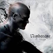 El texto musical FATHOMLESS de NIGHTRAGE también está presente en el álbum The puritan (2015)