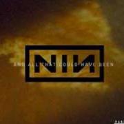 El texto musical HEAD LIKE A HOLE de NINE INCH NAILS también está presente en el álbum And all that could have been (2002)