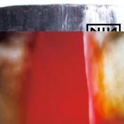 El texto musical PLEASE de NINE INCH NAILS también está presente en el álbum The fragile (1999)