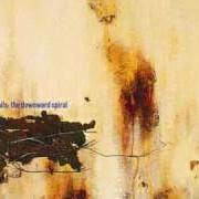 El texto musical RUINER de NINE INCH NAILS también está presente en el álbum The downward spiral (1994)