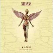 El texto musical RADIO FRIENDLY UNIT SHIFTER de NIRVANA también está presente en el álbum In utero 2013 special 20th edition (2013)