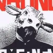 El texto musical OH NO! BRUNO! de NOMEANSNO también está presente en el álbum Wrong (1988)