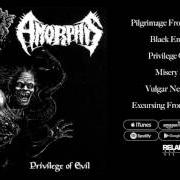 El texto musical MISERY PATH de AMORPHIS también está presente en el álbum Privilege of evil (1993)