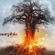 El texto musical SKYFORGER de AMORPHIS también está presente en el álbum Skyforger (2009)