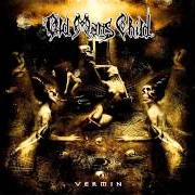 El texto musical WAR OF FIDELITY de OLD MAN'S CHILD también está presente en el álbum Vermin (2005)