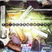 El texto musical ONYX de ONYX también está presente en el álbum Triggernometry (2003)