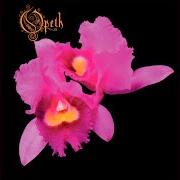 El texto musical IN THE MIST SHE WAS STANDING de OPETH también está presente en el álbum Orchid (1995)