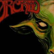 El texto musical COSMONAUT OF THREE de ORCHID también está presente en el álbum The zodiac sessions (2013)