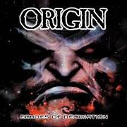 El texto musical ENDLESS CURE de ORIGIN también está presente en el álbum Echoes of decimation (2005)