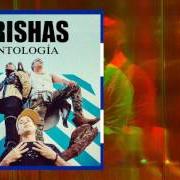 El texto musical 5.3.7 CUBA de ORISHAS también está presente en el álbum Antidiotico