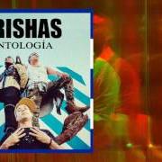 El texto musical CONEXIÓN de ORISHAS también está presente en el álbum Antidiotico