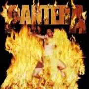 El texto musical WE'LL GRIND THAT AXE FOR A LONG TIME de PANTERA también está presente en el álbum Reinventing the steel (2000)